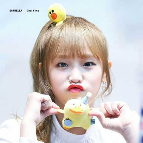 아이즈원) 최예나 뽑아주신 분들 | 인스티즈