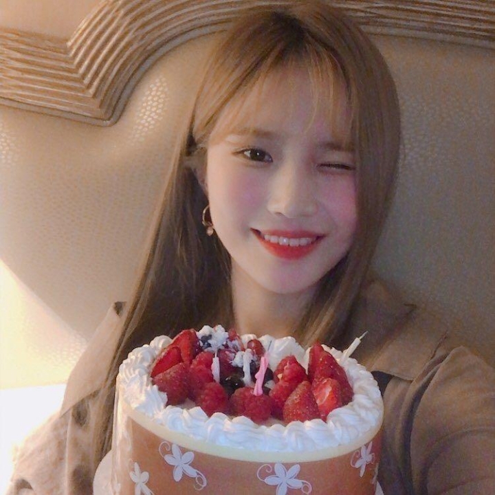 프로미스나인 브이앱 뉴짤 | 인스티즈