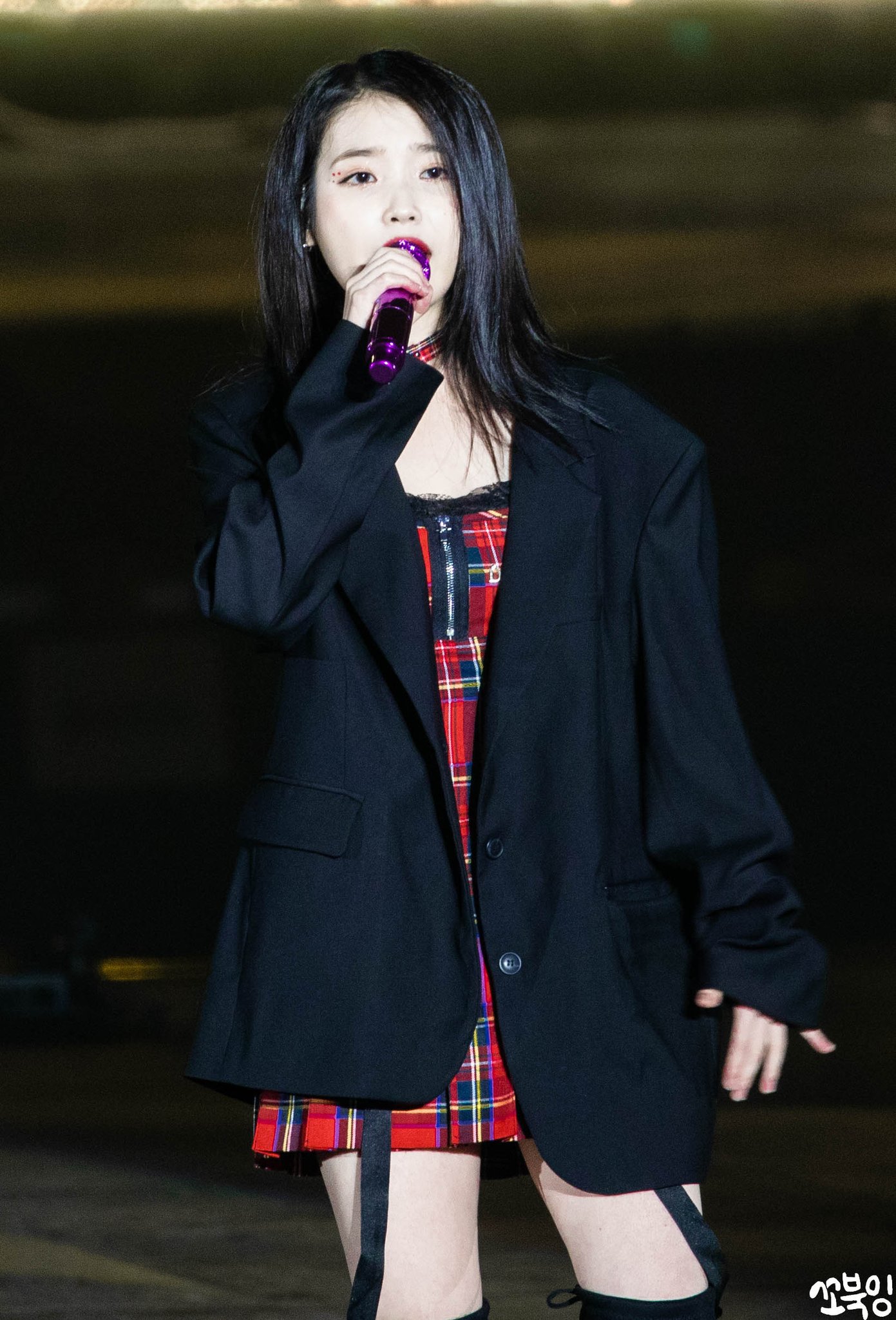 아이유 10주년 콘서트 in 서울.jpg | 인스티즈
