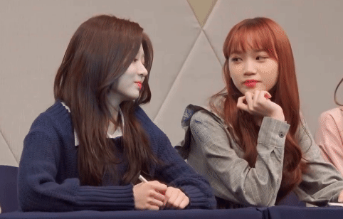 아이즈원) 싸우는 서열 1,2위 | 인스티즈