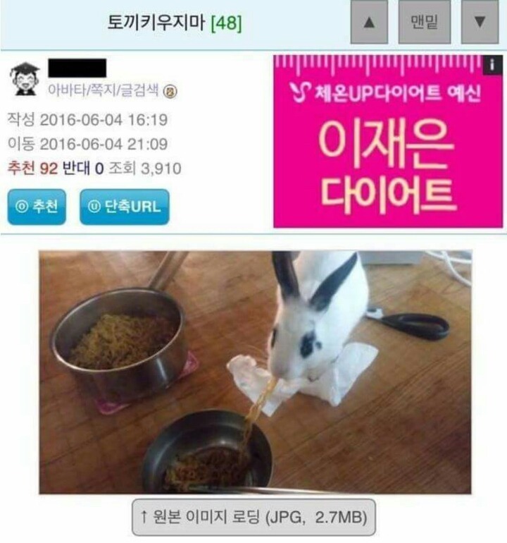 토끼 키우지마라 | 인스티즈