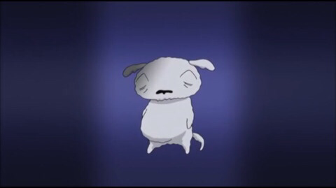 흰둥이 이미지
