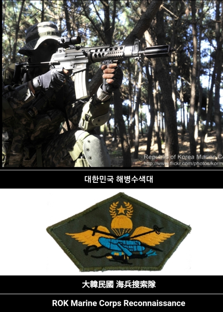 대한민국 특수임무부대들중 최고를 가릴수 있나요? | 인스티즈