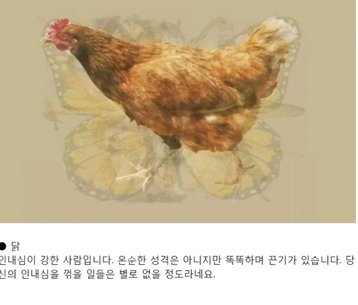 먼저 보이는 그림으로 하는 성격테스트.jpg | 인스티즈