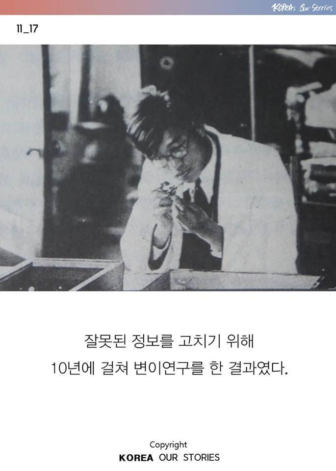 조선에서 나비가 사라졌다 | 인스티즈