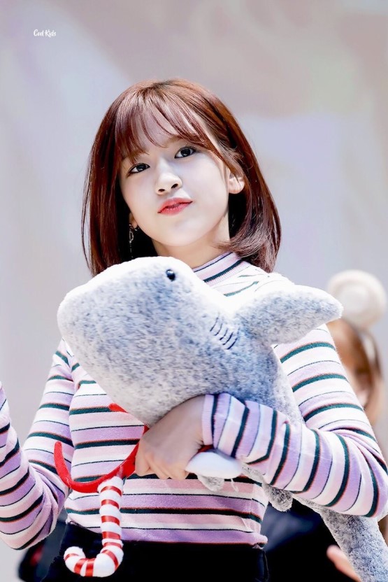 아이즈원 대형견 안댕댕.jpgif | 인스티즈