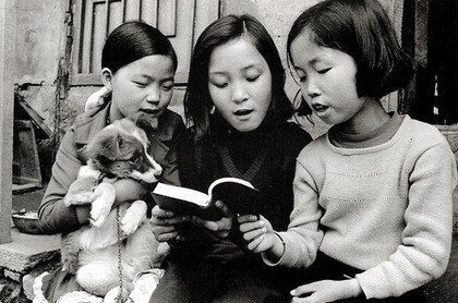1970년대...한국의 댕댕이들....jpg | 인스티즈