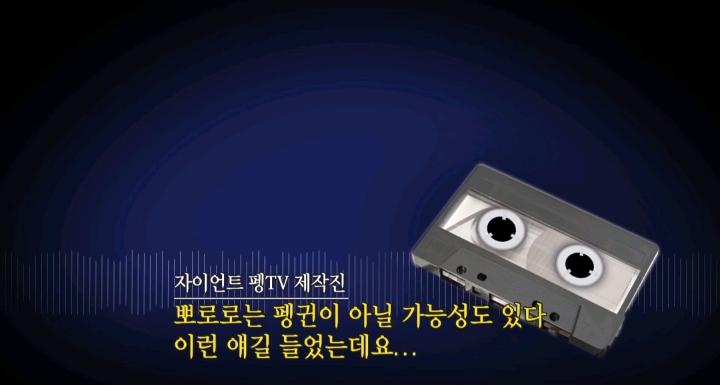 [충격] 뽀로로는 펭귄이 아니다? | 인스티즈