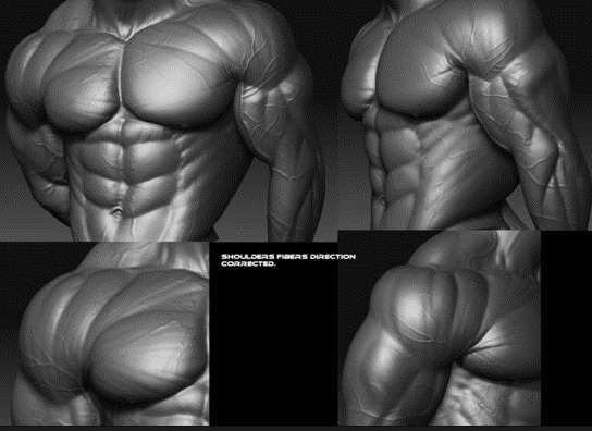 여자들이 좋아서 환장하는 남자 몸 | 인스티즈