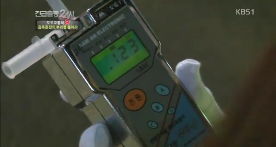 음주단속현장에서 도주한 여성 | 인스티즈