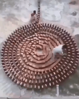 이 꼬마가 여러분의 아들 또는 딸이면 어떻게 하실 겁니까.gif | 인스티즈