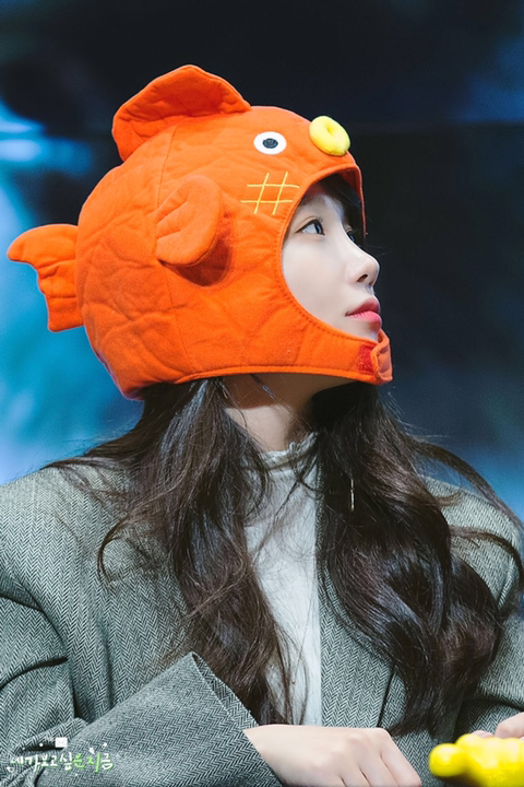 발표 자료 만들기 싫어서 에이핑크 정은지.jpgif | 인스티즈