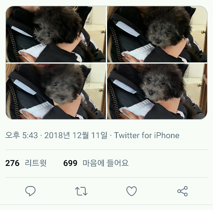 여자친구 일본 공식 트위터 쇠💖먼지 | 인스티즈