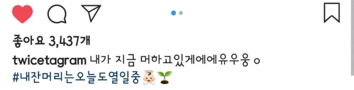트와이스 사나 인스타그램 | 인스티즈