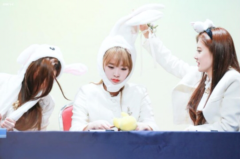 아이즈원) 오리의 폭력성 | 인스티즈