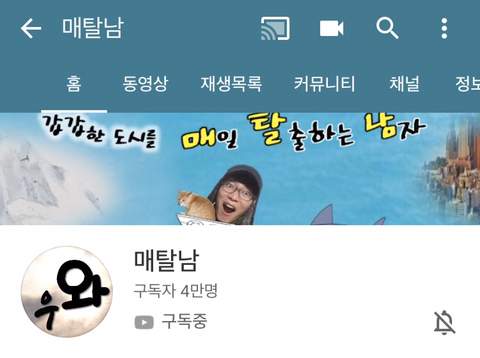 개인적으로 역대급 고양이 유튜버 | 인스티즈