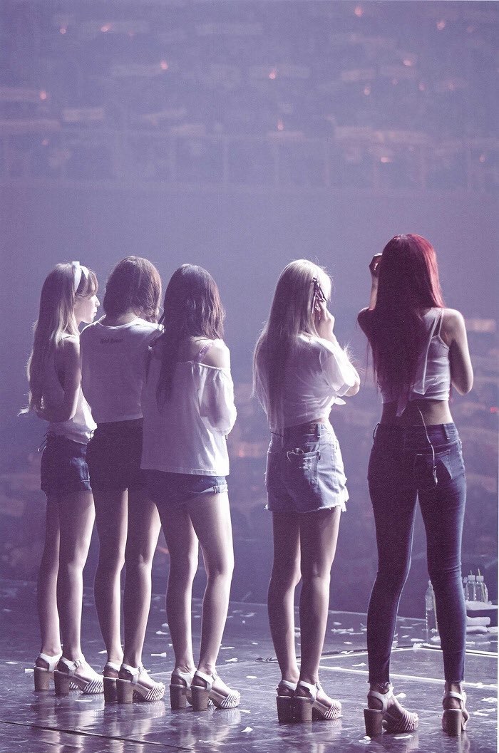 레드벨벳 보고가세요 | 인스티즈