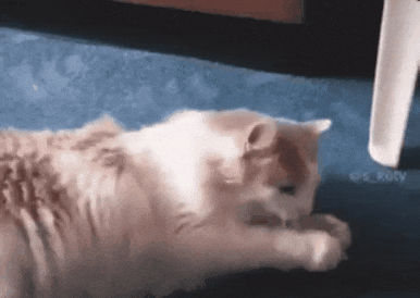 재미있는 고무줄놀이 | 인스티즈