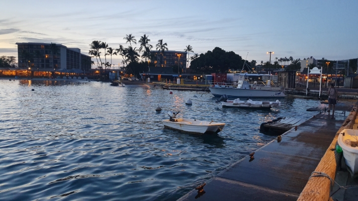 사촌누나 결혼식 참가하러 가서 찍은 하와이 사진 | 인스티즈