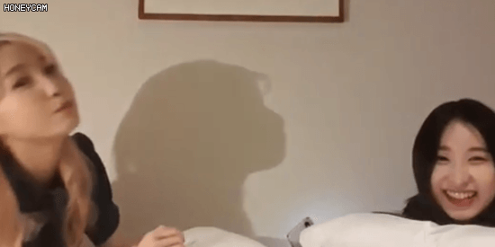 아이즈원 히토미..채연 브이앱 움짤 | 인스티즈