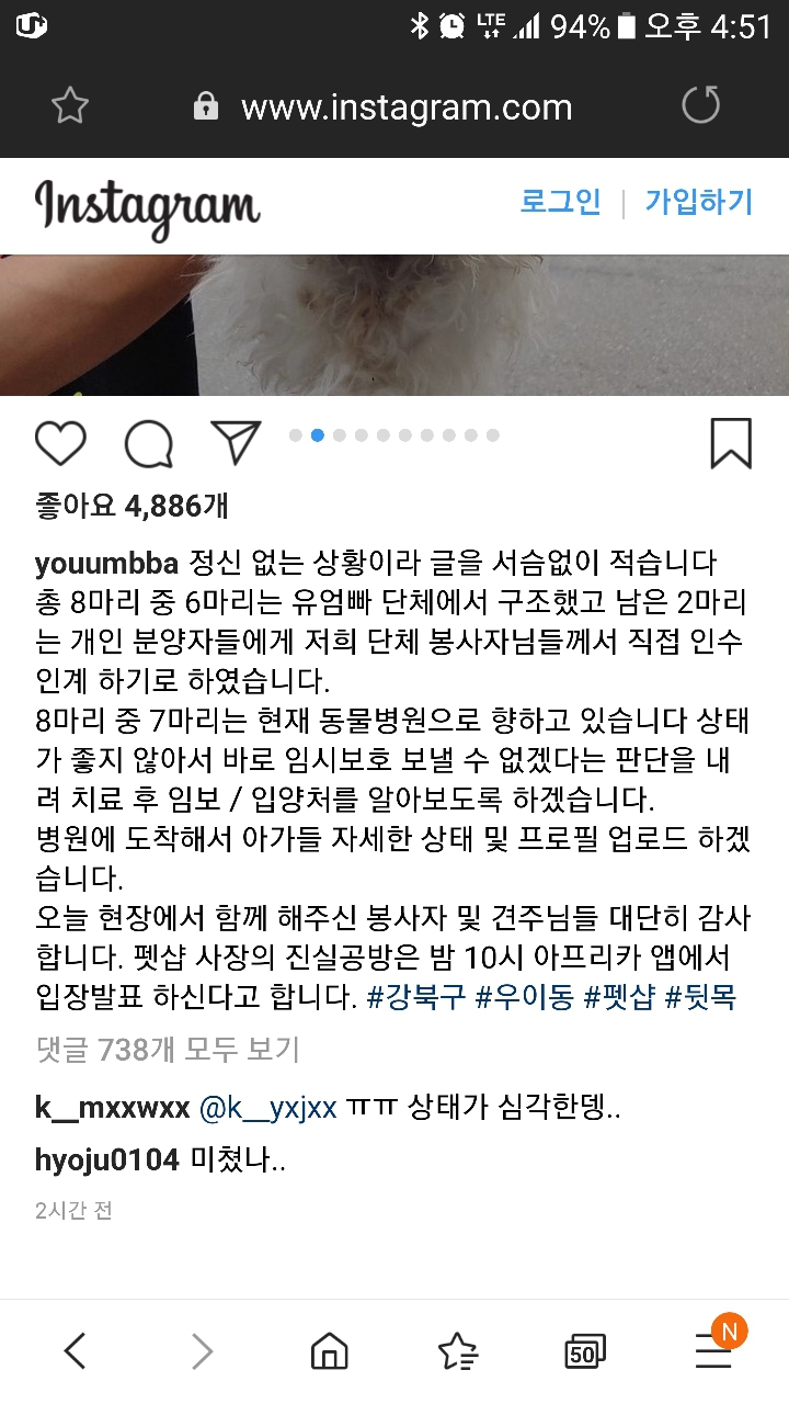 폐업 정리한다던 우이동 펫샵 근황 | 인스티즈