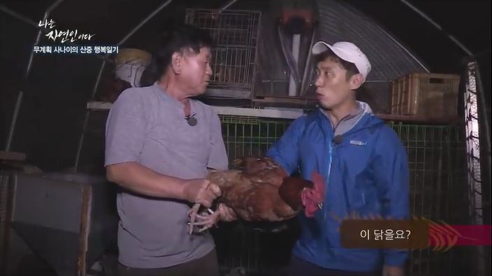 닭 잡는 자연인.jpg | 인스티즈
