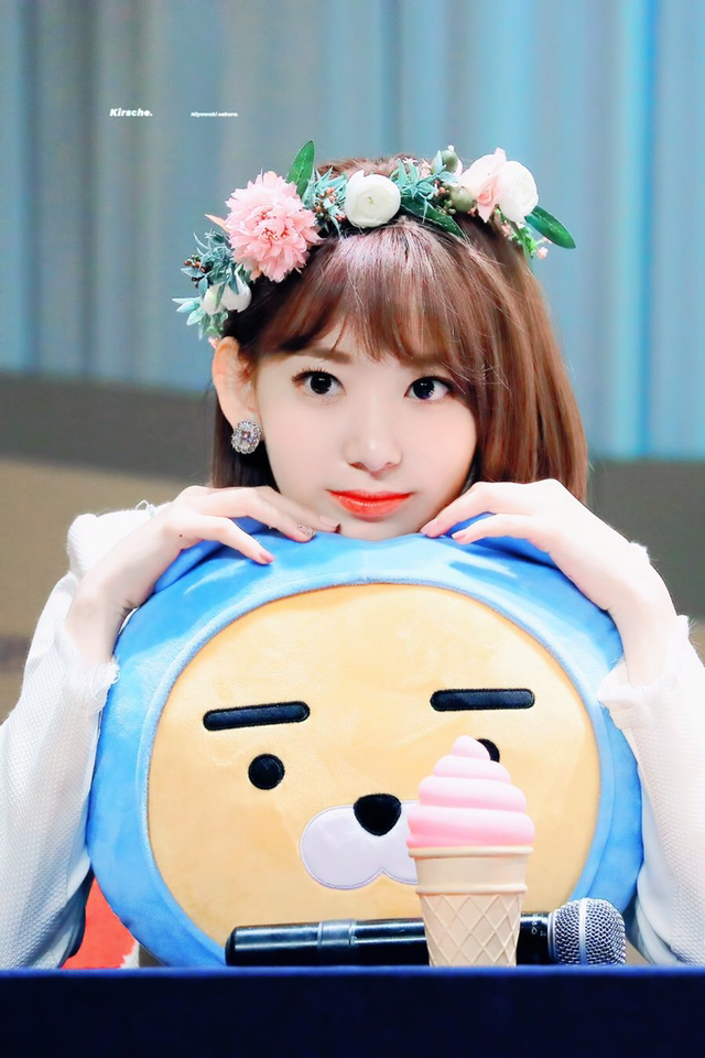 아이즈원) 귀여운짓 맛들린 미야와키상 | 인스티즈