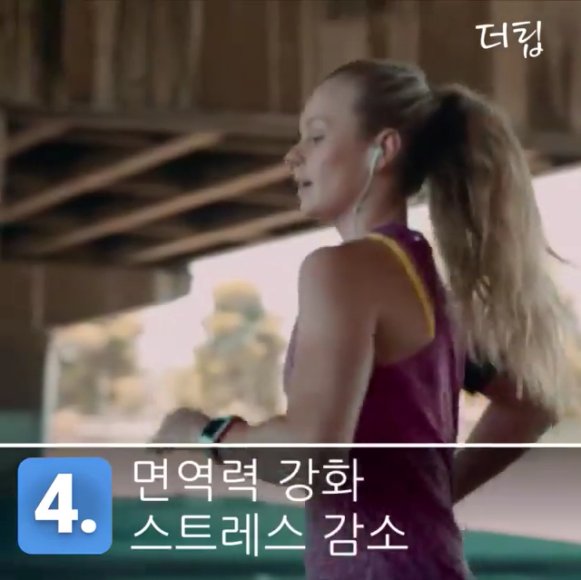 수박 먹을 때 수박씨까지 먹어야 되는 이유 | 인스티즈