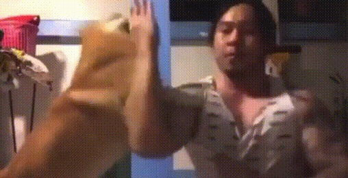 주인이랑 죽이 잘맞는 멍뭉이.gif | 인스티즈