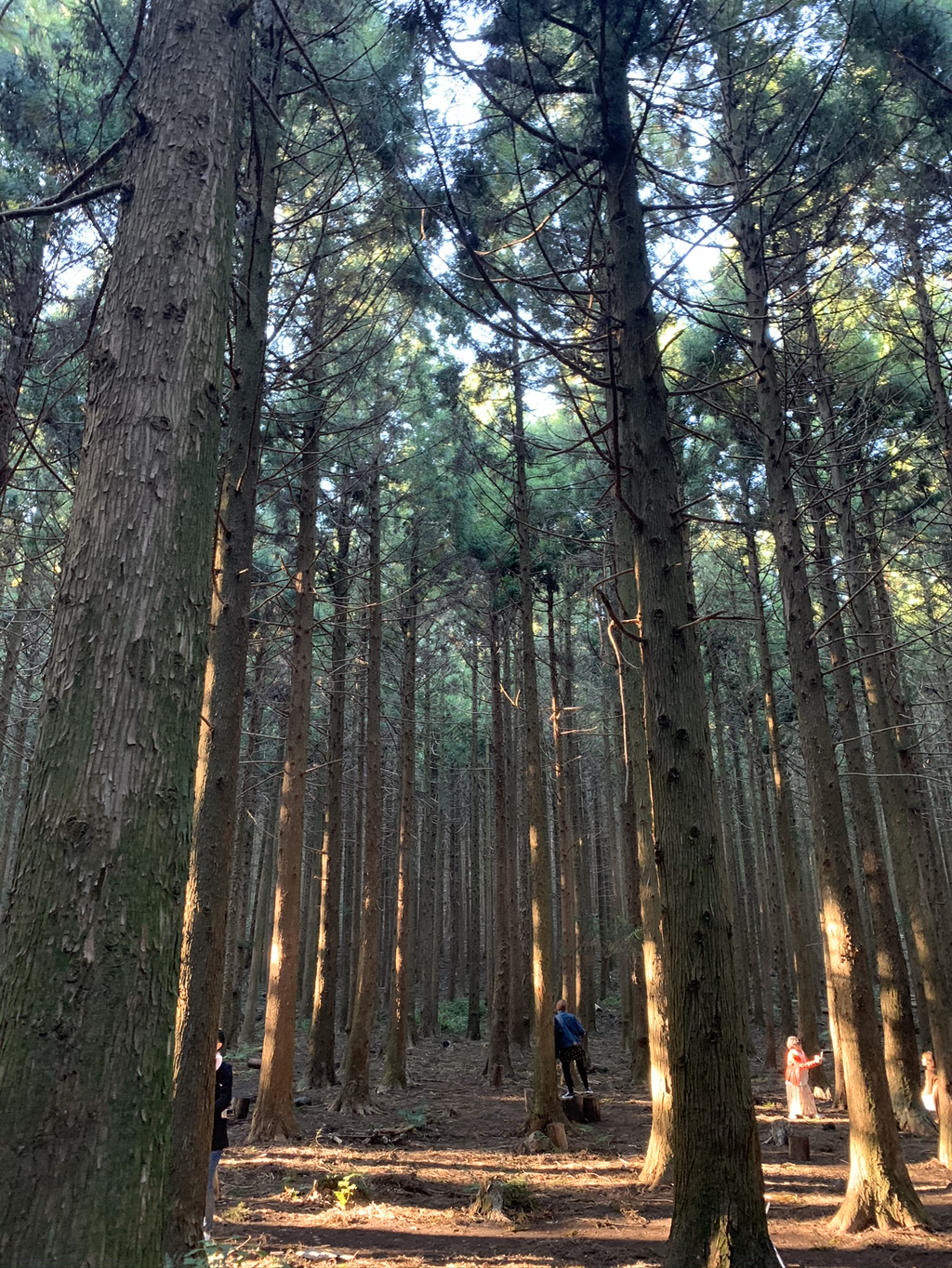 제주도 여행 마지막 날.. | 인스티즈