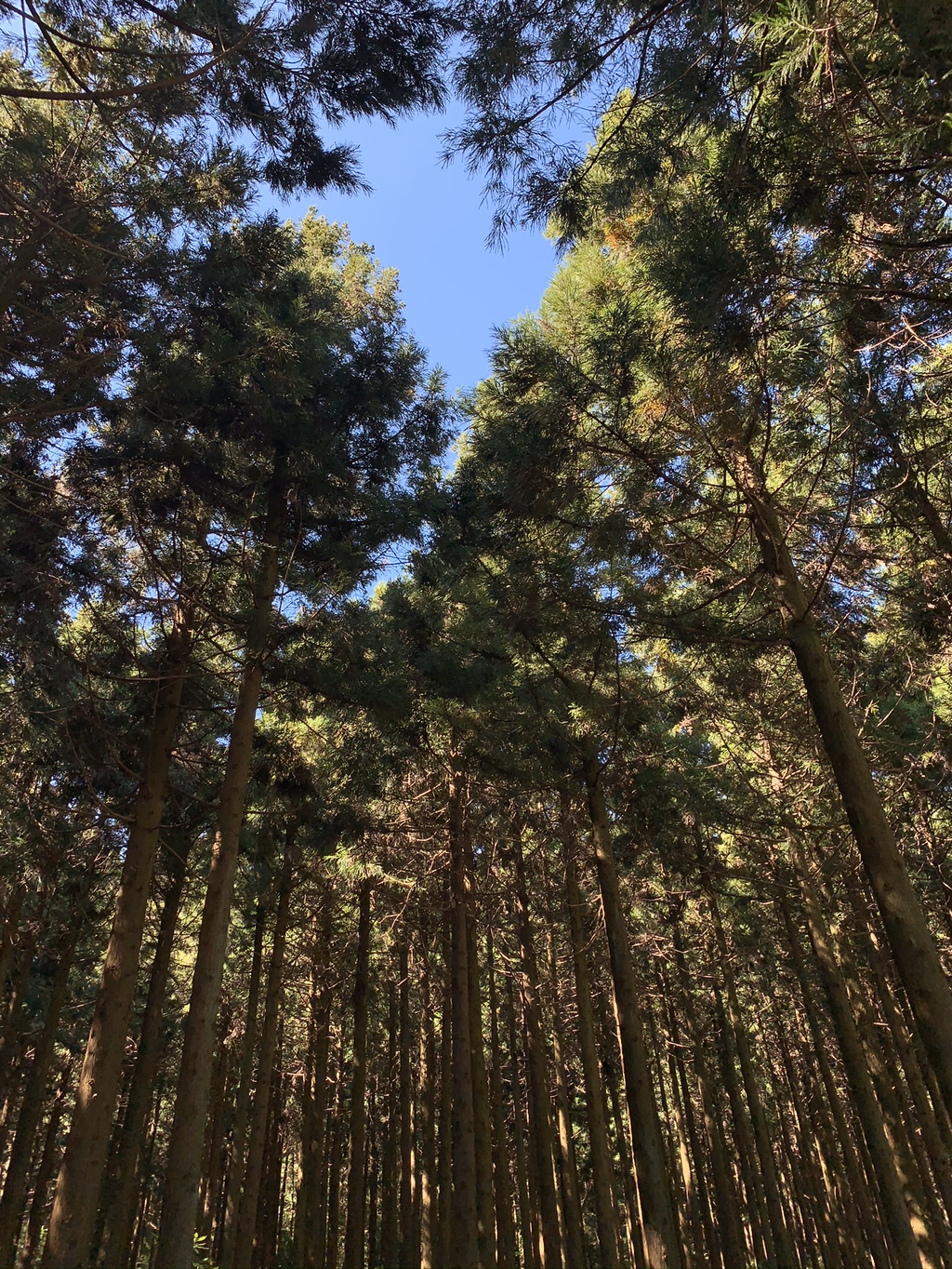 제주도 여행 마지막 날.. | 인스티즈