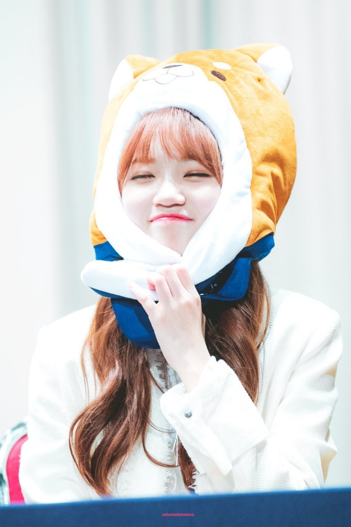 아이즈원) 채원이 보고가세여 | 인스티즈