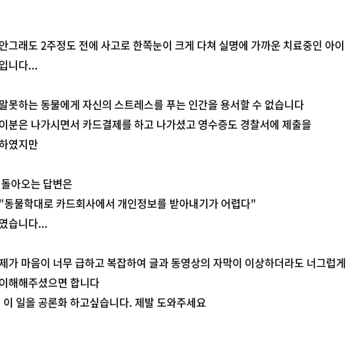 보배드림 강아지 폭행사건.jpg | 인스티즈