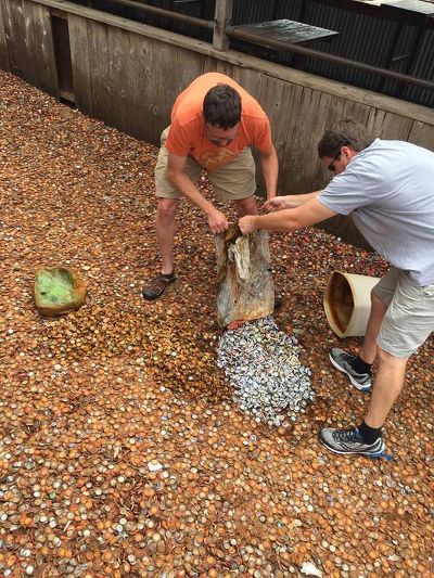 美 텍사스주 '병뚜껑 골목' | 인스티즈