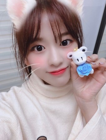 아이즈원 댕댕이.jpgif | 인스티즈