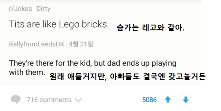 가슴과 레고의 공통점.jpg | 인스티즈