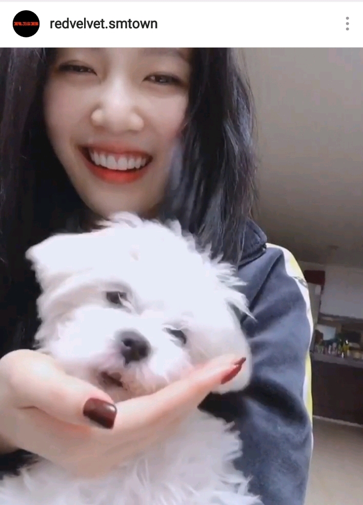 레드벨벳 2019년 섹다마 조이 인스타그램 (with 햇님) | 인스티즈