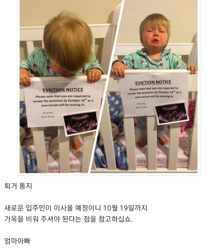 건물주에게 내쫓기는 입주민.JPG | 인스티즈