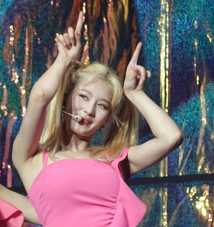 아침을 여는 사나.JPGIF | 인스티즈