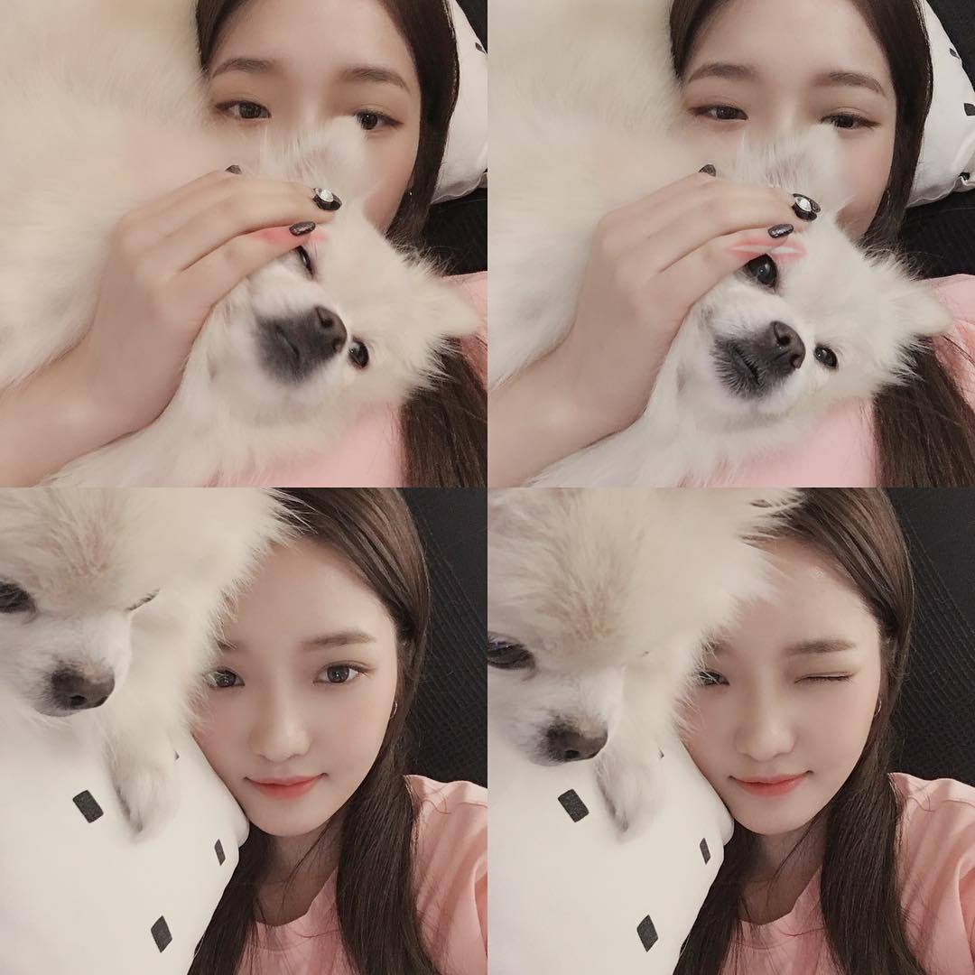 프로미스나인 노지선 | 인스티즈