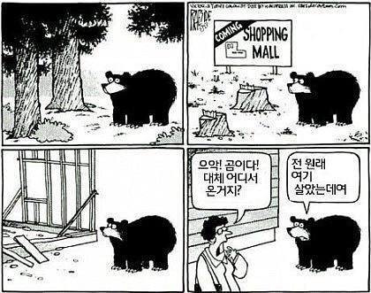 야생동물이 사람을 습격하는 이유 | 인스티즈