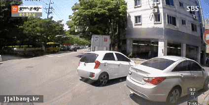 개오지는 실제상황 ㄷㄷ.gif | 인스티즈