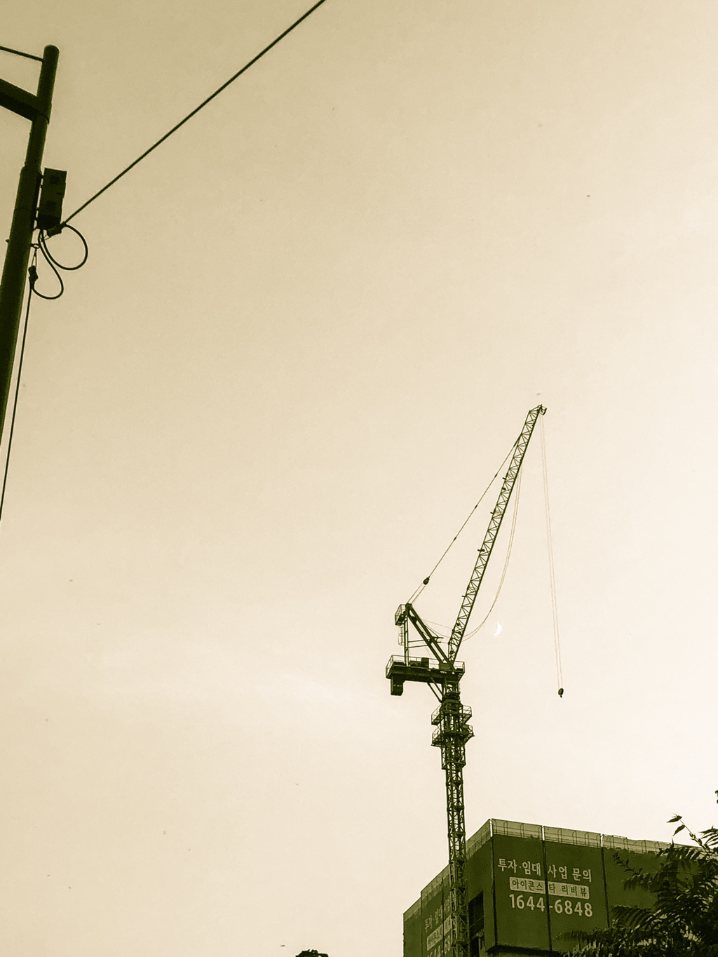 아이폰으로 찍은 C급 사진 몇 장만 올려봅니다 | 인스티즈