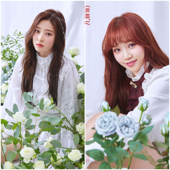 [트와이스+아이즈원] 당신의 선택은?! | 인스티즈