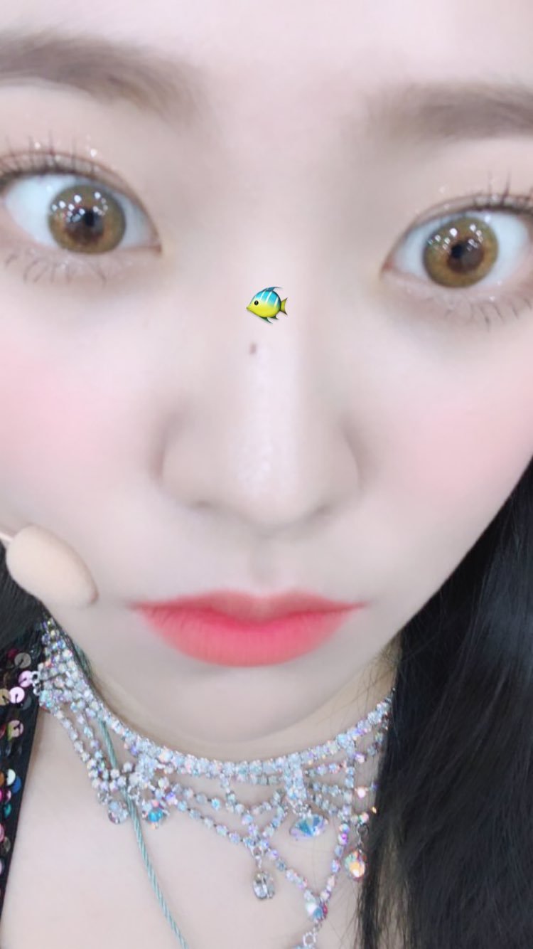 오늘자 레드벨벳 인스타그램.jpg | 인스티즈