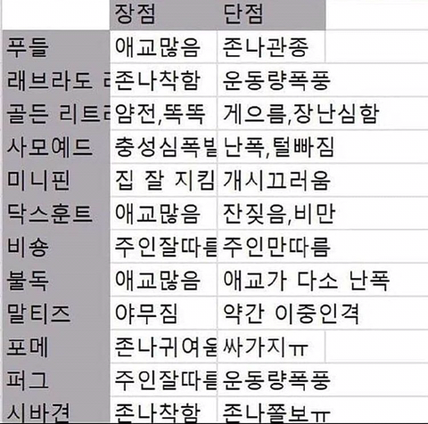 댕댕이 종별 특징.jpg | 인스티즈