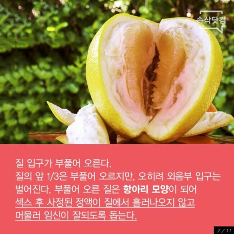 여자가 흥분하면 나타나는 몸의 변화.jpg | 인스티즈