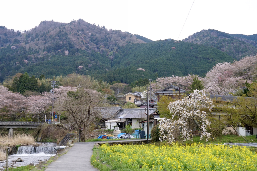 2018년 찍었던 사진 중 맘에 드는 것들 | 인스티즈