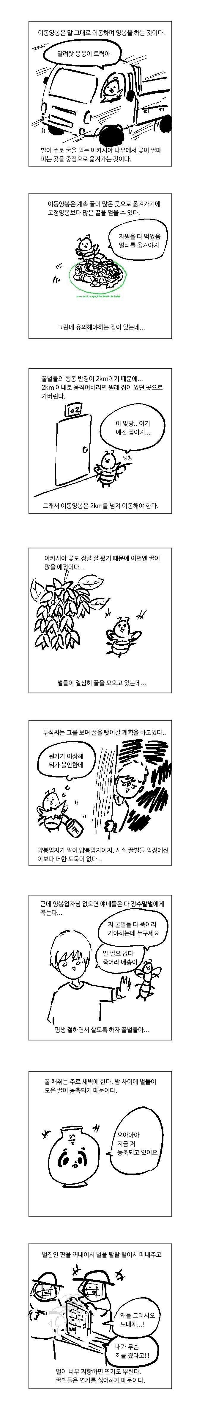 신나는 양봉이야기 만화 | 인스티즈