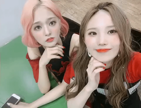 프로미스나인 인스타그램 꼬냐앙.gif | 인스티즈